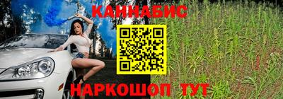 сатива Бузулук