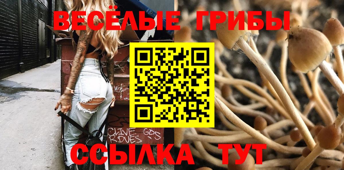 Галлюциногенные грибы MAGIC MUSHROOMS  Вход с VPN  Кыштым  Галлюциногенные грибы GOLDEN TEACHER 