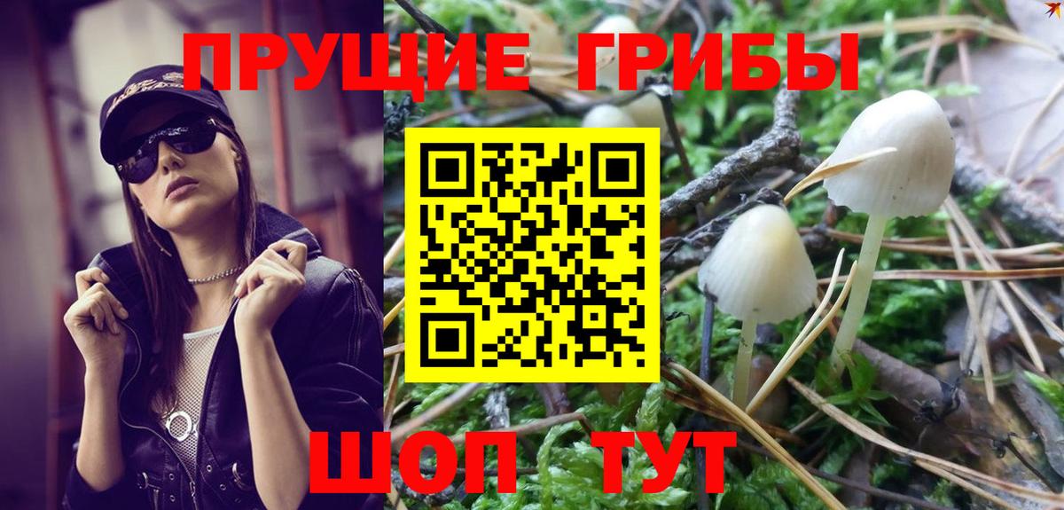Псилоцибиновые грибы GOLDEN TEACHER Кыштым